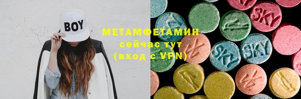 индика Нязепетровск