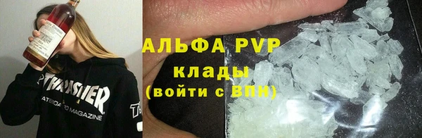 индика Нязепетровск